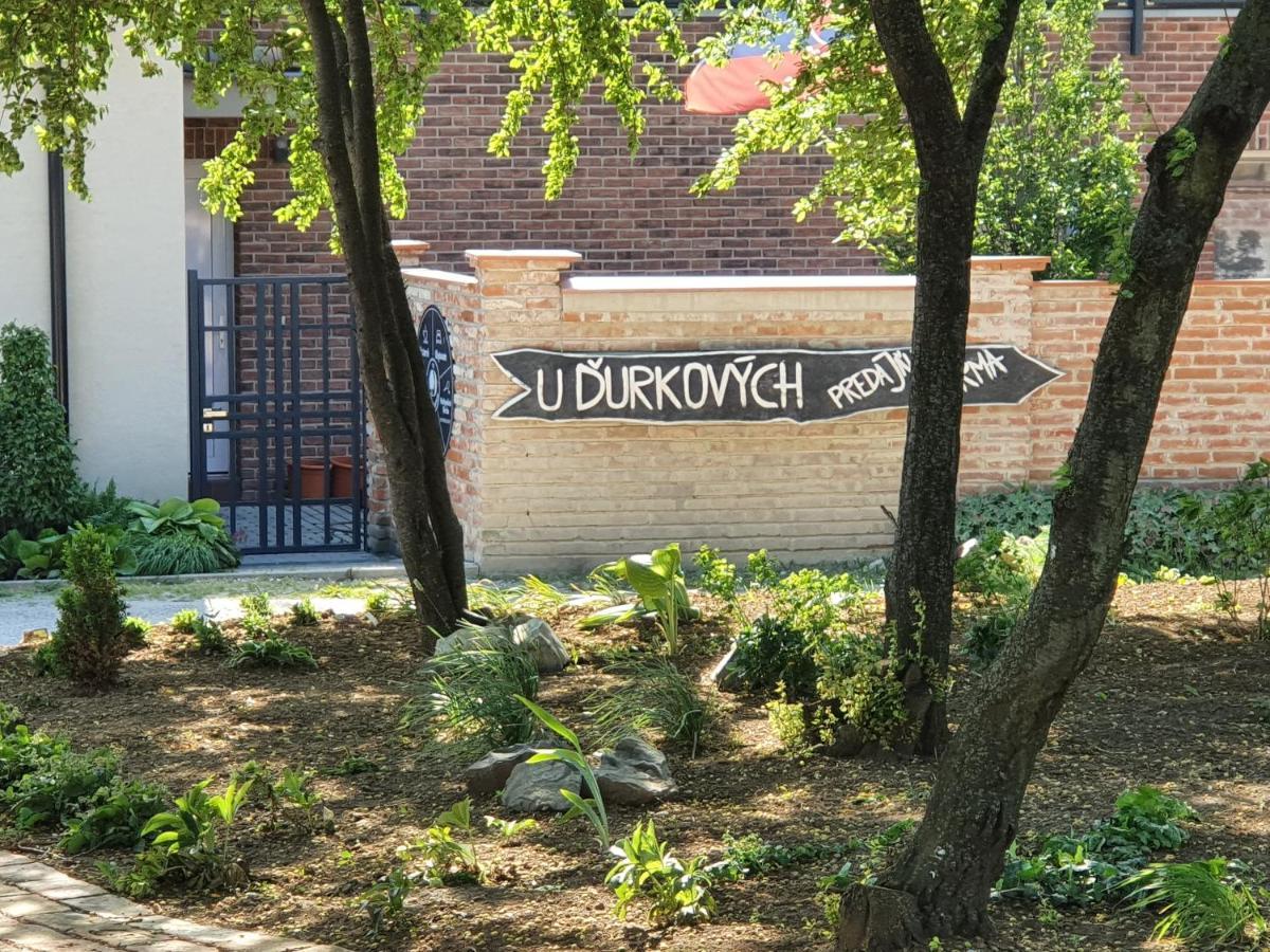 U Durkovych Pensionat Zabokreky Nad Nitrou Exteriör bild